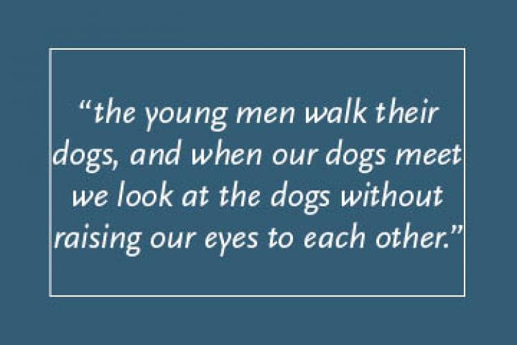 Dark blue background with light blue text inside a light blue border: “the young men walk their dogs, and when our dogs meet  we look at the dogs without raising our eyes to each other."