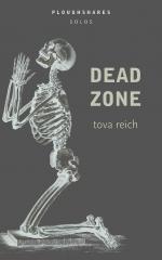 Cover for Ploughshares Solo Dead Zone